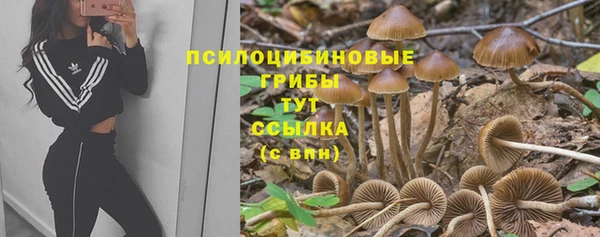 МДПВ Верея