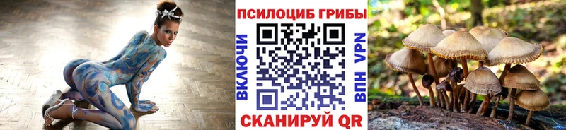 Галлюциногенные грибы MAGIC MUSHROOMS  где купить наркоту  Ростов-на-Дону 